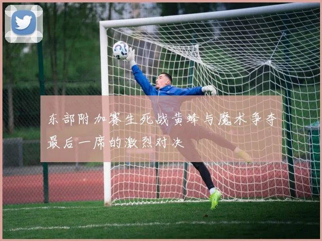 东部附加赛生死战黄蜂与魔术争夺最后一席的激烈对决